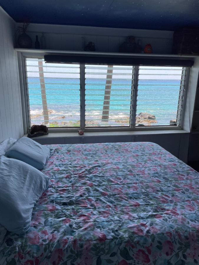 Moonlight Oceanfront Delight Apartment Kailua-Kona Ngoại thất bức ảnh